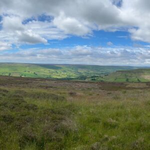 Moors1